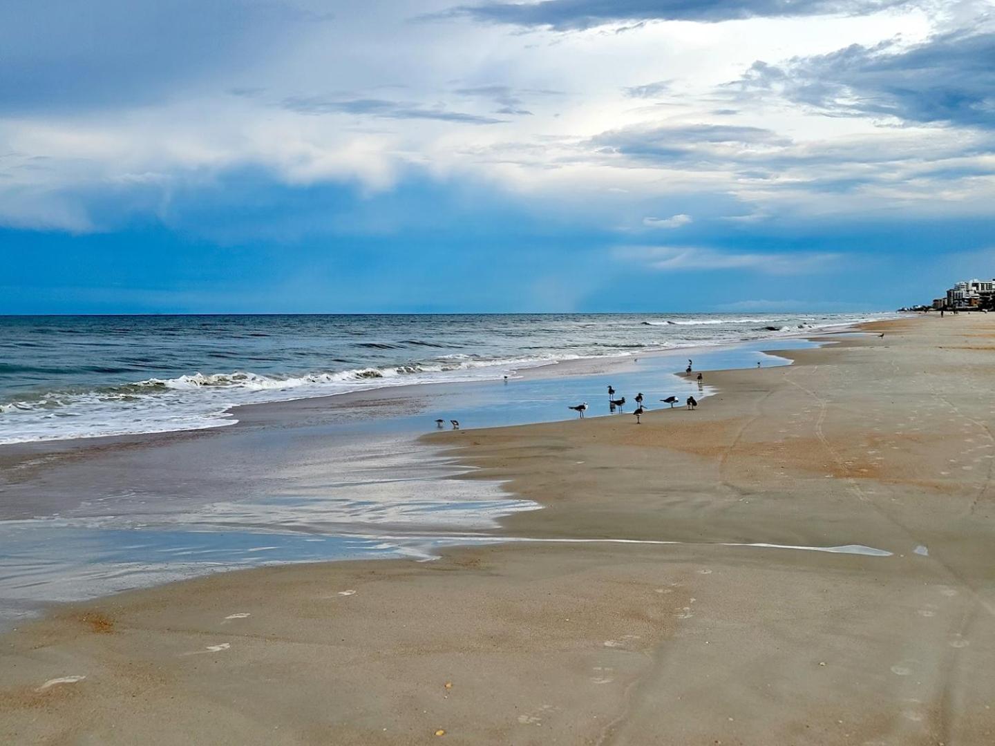 410 - Fourth Floor 1/1 Sleeps 2 Appartement New Smyrna Beach Buitenkant foto